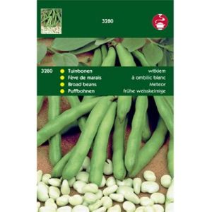 TUINBONEN WITKIEM, 100G